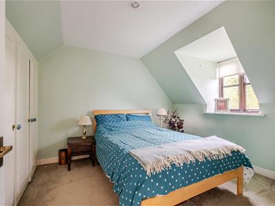 Picture 7